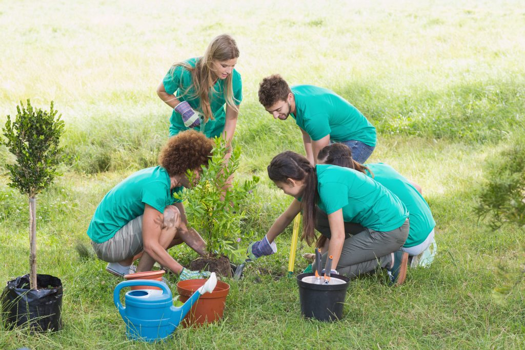 Start a Horticulture & Agriculture Traineeship Employment Training